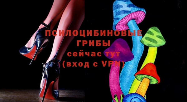 метамфетамин Богданович