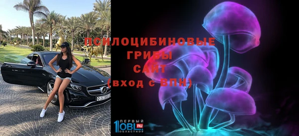 мескалин Богородицк