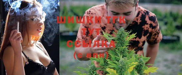 сатива Богородск