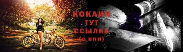 сатива Богородск