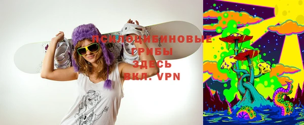мескалин Богородицк